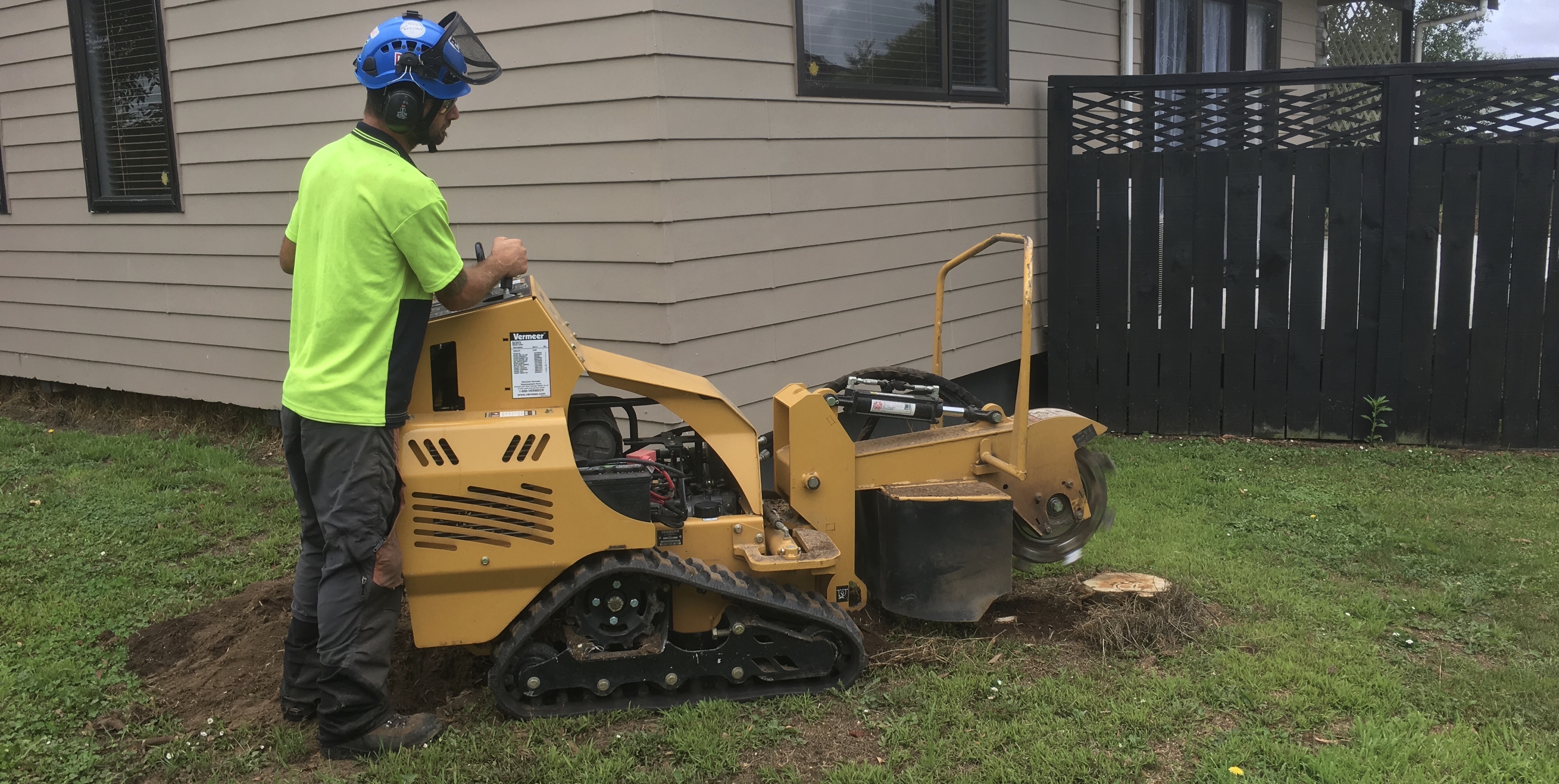 Stump Grinding